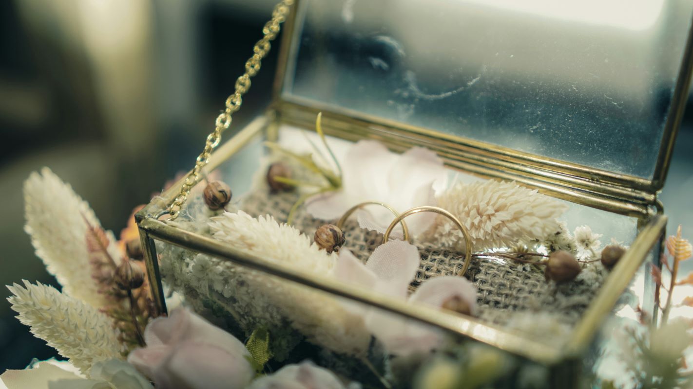 Transparent Packaging for a Chic Display.jpg Transparent Packaging for a Chic Display.jpg