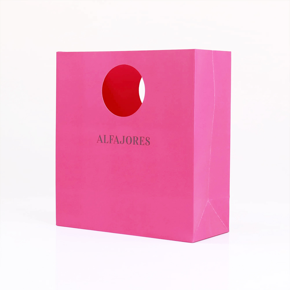 Reusable Handbag Style Paper Gift Bags with Custom Branding